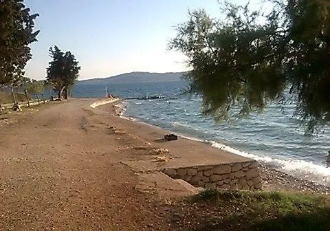 Apartamento Helena *